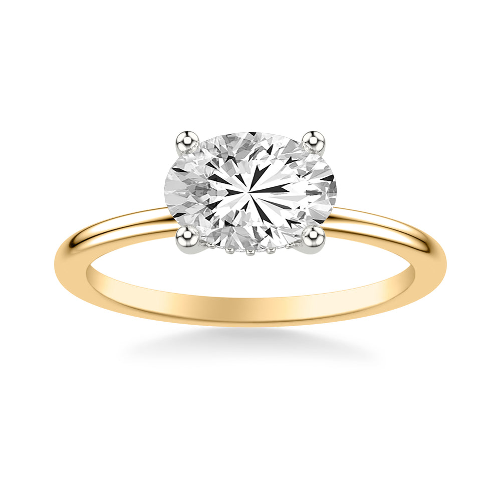 Classic East West Solitaire Engagment Ring and Hidden Diamond Halo with Polished Shank.  Center Stone is not included.