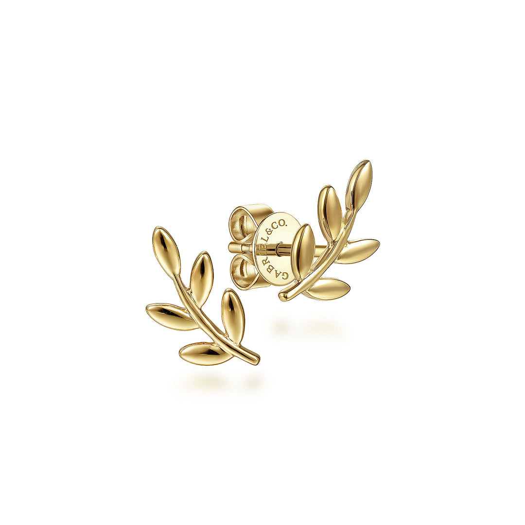 Gabriel & Co. EG14006Y4JJJ 14K Yellow Gold Laurel Branch Post Earrings
