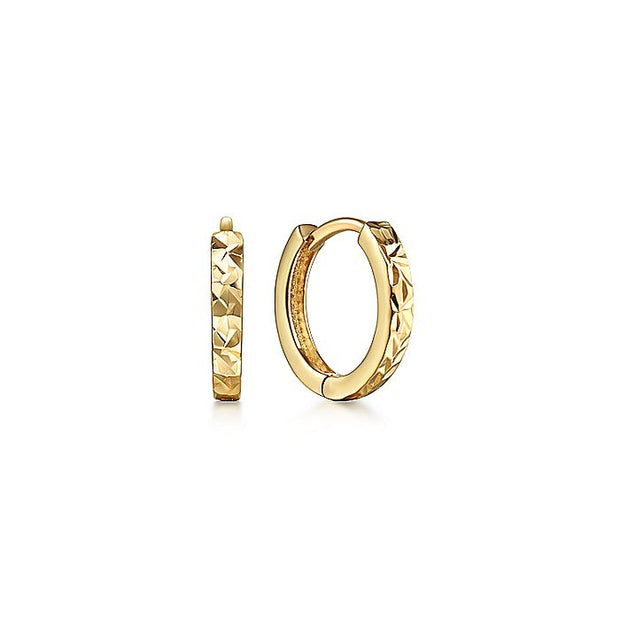Gabriel & Co. EG14293Y4JJJ 14K Yellow Gold Plain Earrings
