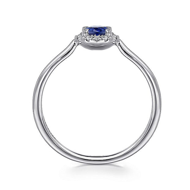 Gabriel & Co. LR51264W45SA 14K White Gold Blue Sapphire and Diamond Halo Promise Ring